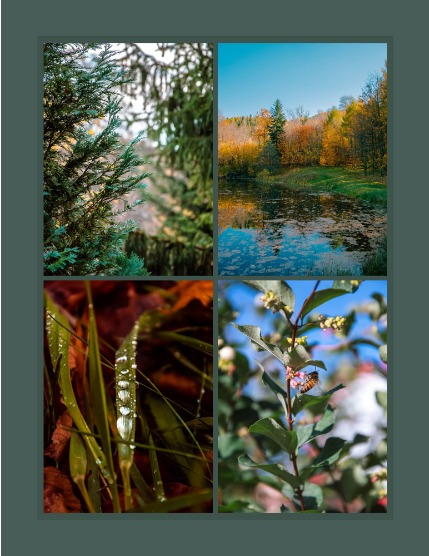 Bold & Beyond Nature (Issue 625 November 2025), page 3