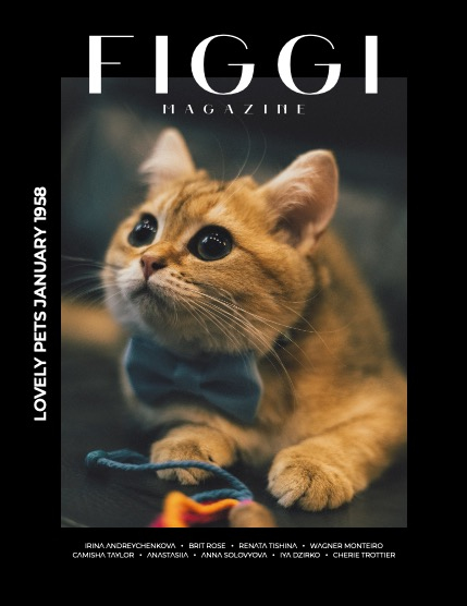 FIGGI MAGAZINE - LOVELY PETS JANUARY (Vol 1958), page 1