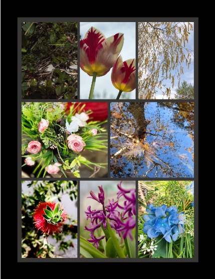 Bold & Beyond Nature (Issue 268 May 2025), page 3