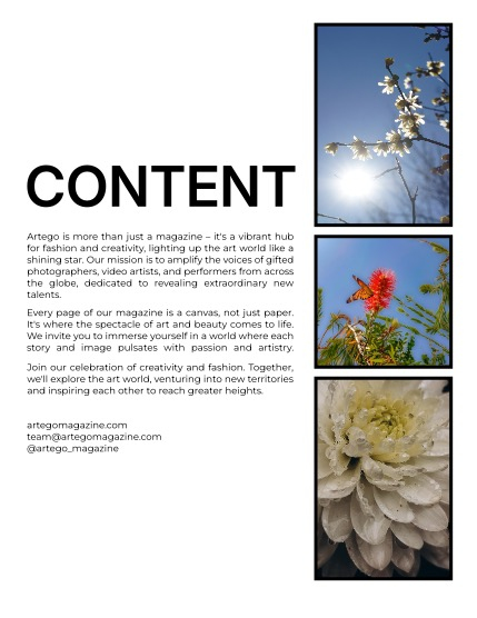 ARTEGO MAGAZINE - NATURE & TRAVELS DECEMBER ISSUE 1151, page 2