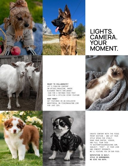 Фиджи, журнал. Милые питомцы, октябрь, выпуск 2309 (FIGGI MAGAZINE - LOVELY PETS OCTOBER (Vol 2309)), page 3