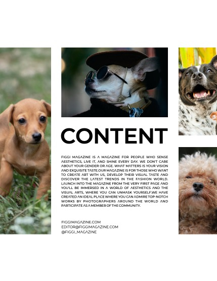FIGGI MAGAZINE - LOVELY PETS APRIL (Vol 1488), page 3