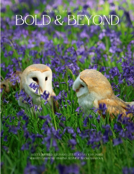 Bold & Beyond Nature (Issue 270 May 2025), page 1