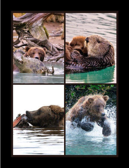 Bold & Beyond Nature (Issue 411 July 2025), page 3