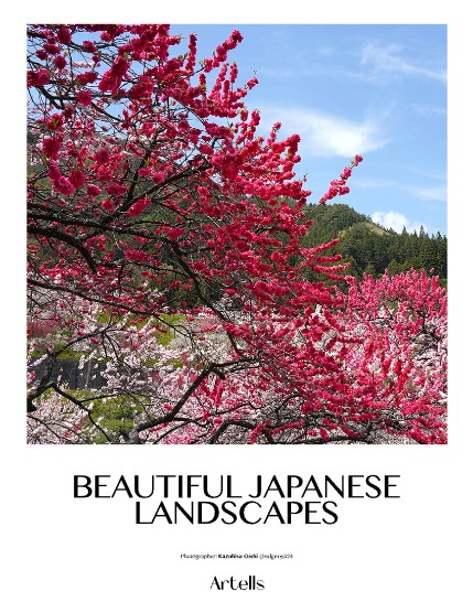 ARTELLS MAGAZINE - NATURE & TRAVELS JANUARY (Vol 3807), page 4