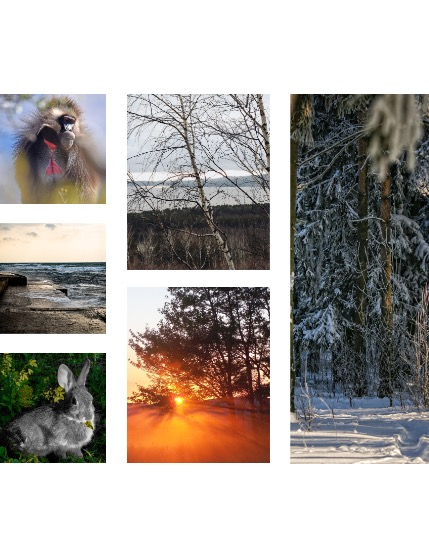 FIGGI MAGAZINE - NATURE & TRAVEL MARCH (Vol 2036), page 2