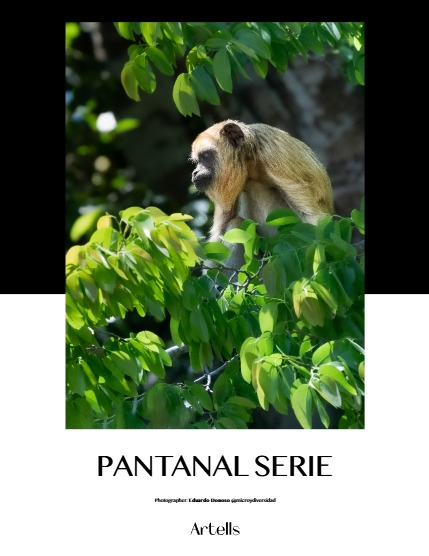 ARTELLS MAGAZINE - NATURE & TRAVELS MAY (Vol 4051), page 4
