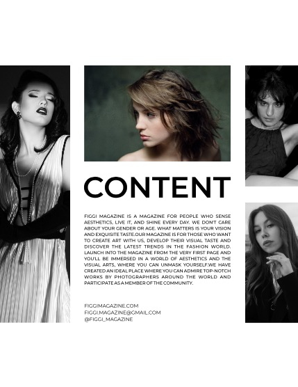 FIGGI MAGAZINE - PORTRAIT NOVEMBER (Vol 1257), page 3