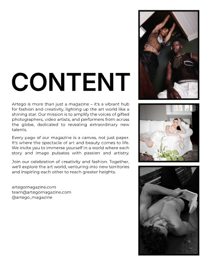 ARTEGO MAGAZINE -  PORTRAIT DECEMBER ISSUE 1146, page 2