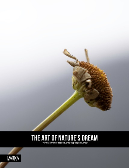 MARIKA MAGAZINE NATURE & TRAVELS (ISSUE 6020 - NOVEMBER), page 4