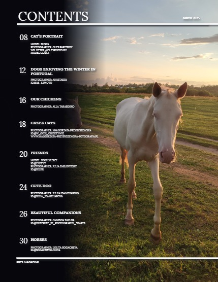 Perfect Pets March Issue 2025, page 4