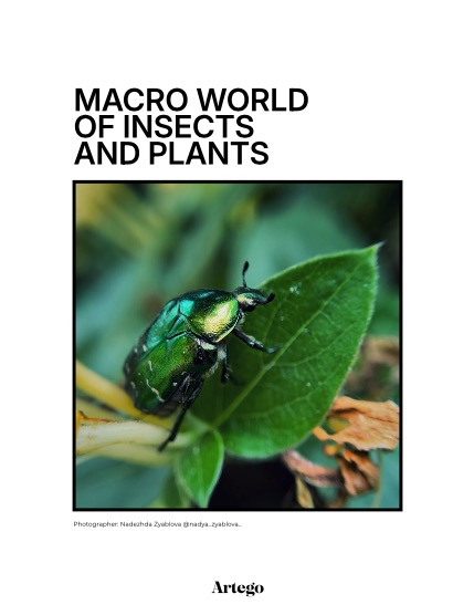 ARTEGO MAGAZINE - NATURE & TRAVELS JUNE ISSUE 869, page 4