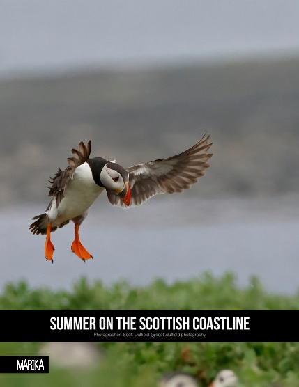 MARIKA MAGAZINE NATURE & TRAVELS (ISSUE 5832 - AUGUST), page 4