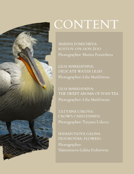 Bold & Beyond Nature (Issue 476 August 2025), page 2