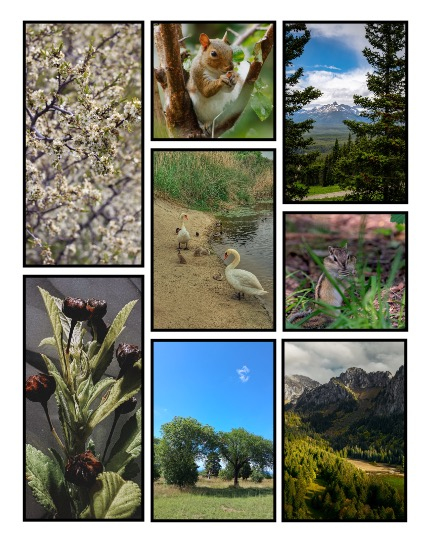 ARTEGO MAGAZINE - NATURE & TRAVELS OCTOBER ISSUE 1509, page 3