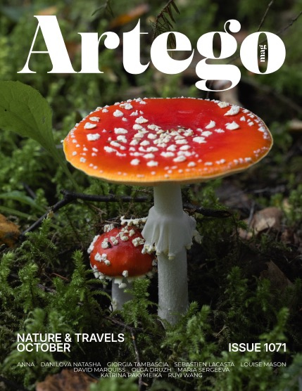 ARTEGO MAGAZINE - NATURE & TRAVELS OCTOBER ISSUE 1071, page 1