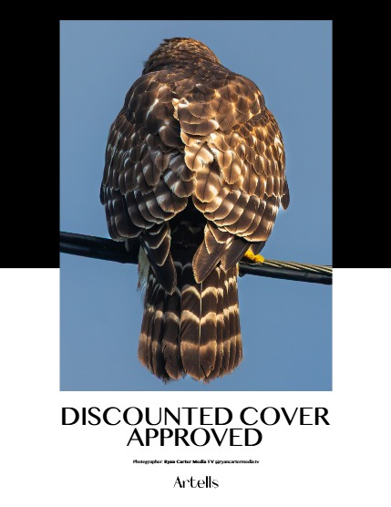 ARTELLS MAGAZINE - NATURE & TRAVELS FEBRUARY (Vol 3856), page 4