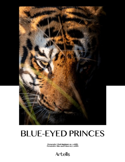 ARTELLS MAGAZINE - NATURE & TRAVEL (Vol 3285), page 4