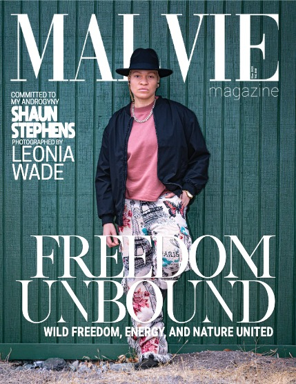 MALVIE The Artist Edition 868, page 1