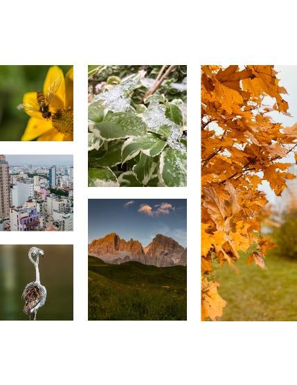 FIGGI MAGAZINE - NATURE & TRAVEL JANUARY (Vol 1339), page 2
