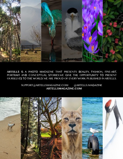 ARTELLS MAGAZINE - NATURE & TRAVELS FEBRUARY (Vol 2965), page 3