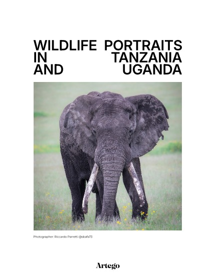 ARTEGO MAGAZINE - NATURE & TRAVELS FEBRUARY ISSUE 688, page 4