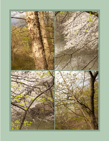  Bold & Beyond Nature (Issue 264 May 2025), page 3