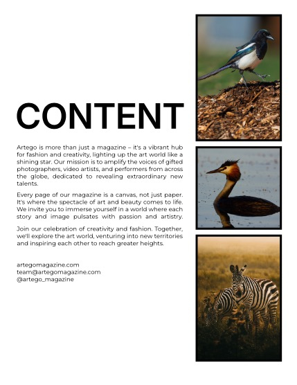 ARTEGO MAGAZINE - NATURE & TRAVELS JUNE ISSUE 872, page 2