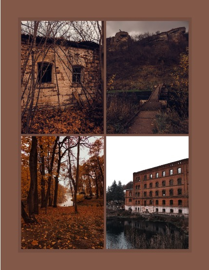 Bold & Beyond Nature (Issue 613 November 2025), page 3