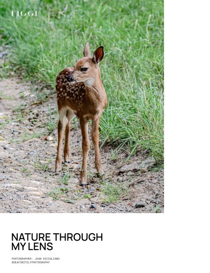 FIGGI MAGAZINE - NATURE & TRAVEL AUGUST (Vol 2248), page 4