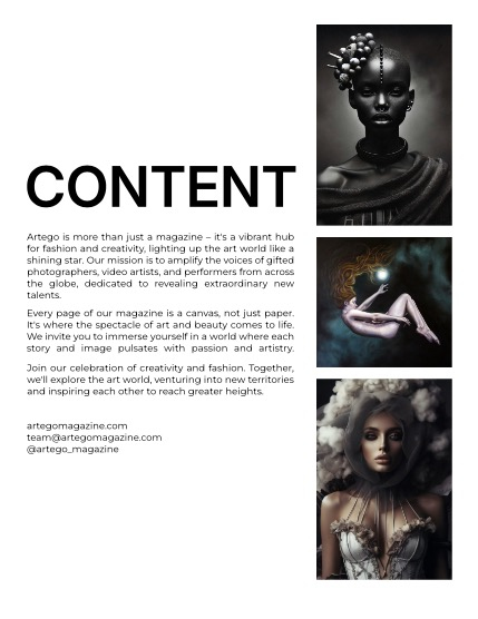 ARTEGO MAGAZINE - FINE-ART & AI FEBRUARY ISSUE 668, page 2