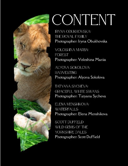 Bold & Beyond Nature (Issue 317 May 2025) , page 2