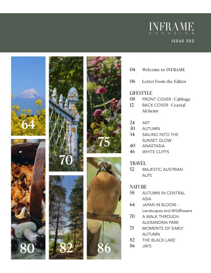 Issue 252 - Lifestyle, Travel and Nature Edition - October 2025, page 3