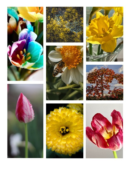 ARTEGO MAGAZINE - NATURE & TRAVELS MARCH ISSUE 740, page 3