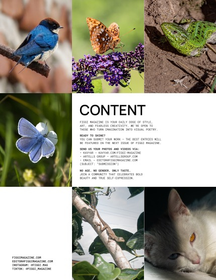 FIGGI MAGAZINE - NATURE & TRAVEL AUGUST (Vol 2248), page 2