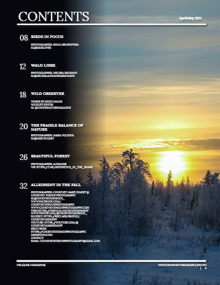 Conker Nature The Forest Issue April/May 2025, page 4