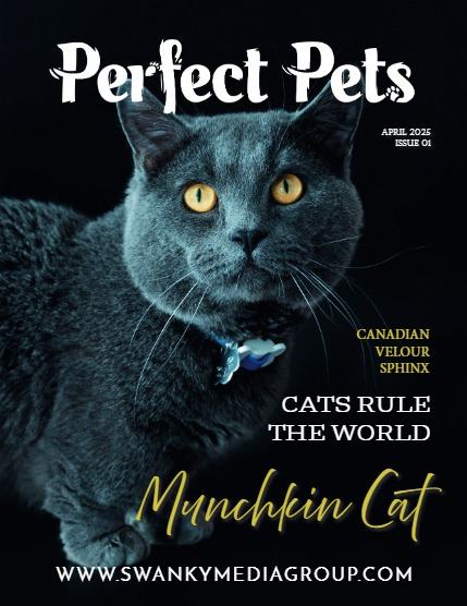 Perfect Pets Magazine - April 2025: The Pet Pals Issue, page 1