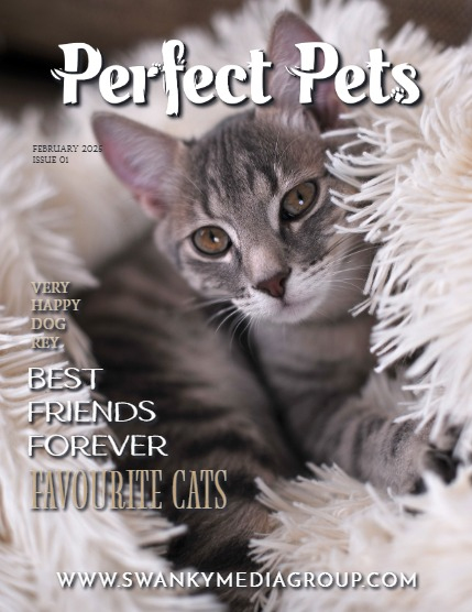 Perfect Pets Magazine - February 2025: The Pet Portrait Issue, page 1