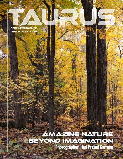 Nature #119, page 1