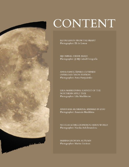 Bold & Beyond Nature (Issue 586 October 2025), page 2