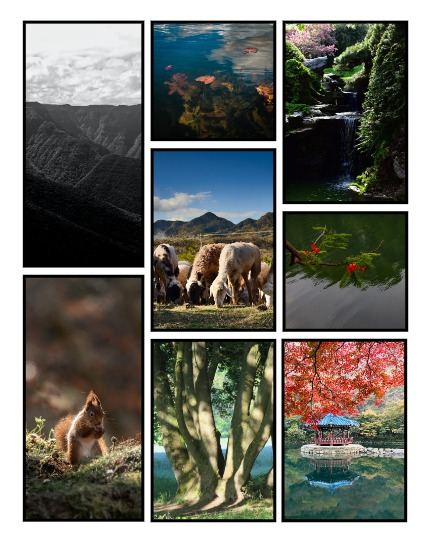 ARTEGO MAGAZINE - NATURE & TRAVELS MAY ISSUE 1349, page 3