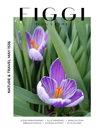FIGGI MAGAZINE - NATURE & TRAVEL MAY (Vol 1536), page 1