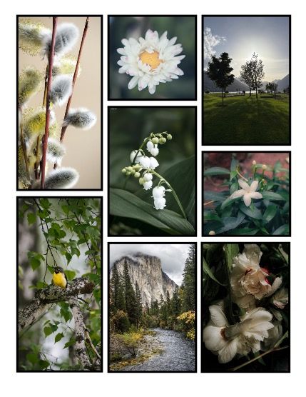 ARTEGO MAGAZINE - NATURE & TRAVELS JULY ISSUE 1427, page 3