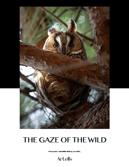 ARTELLS MAGAZINE - NATURE & TRAVELS APRIL (Vol 3982), page 4