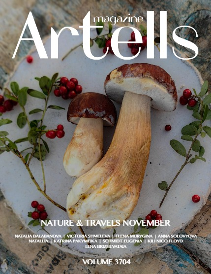 ARTELLS MAGAZINE - NATURE & ANIMALS NOVEMBER (Vol 3704), page 1