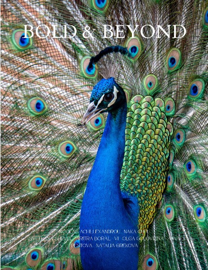 Bold & Beyond Nature (Issue 371 July 2025), page 1