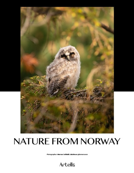 ARTELLS MAGAZINE - NATURE & TRAVELS JULY (Vol 3376), page 4