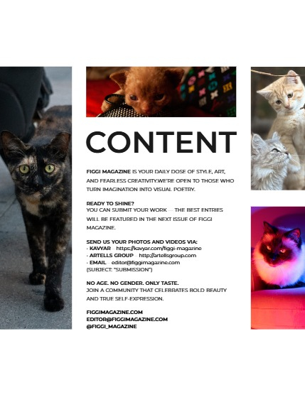 FIGGI MAGAZINE - LOVELY PETS OCTOBER (Vol 1814), page 3