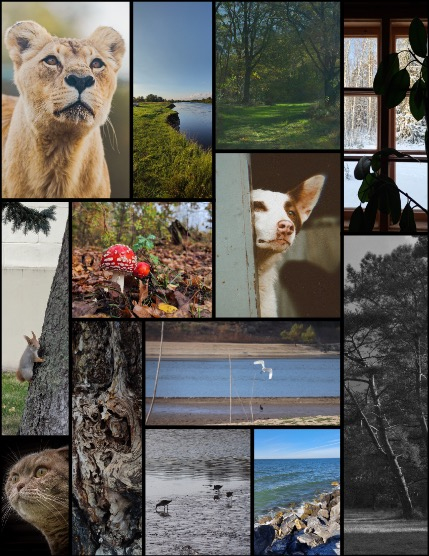 MARIKA MAGAZINE NATURE & TRAVELS (ISSUE 5532 - FEBRUARY), page 3