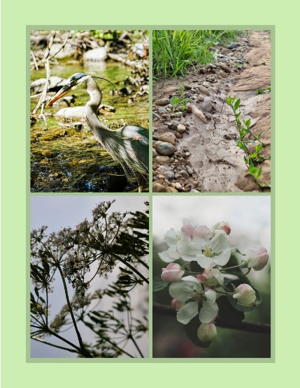 Bold & Beyond Nature (Issue 375 July 2025), page 3